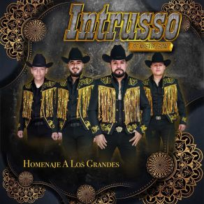 Download track Popurrí Homenaje A Los Tucanes De Tijuana Intrusso De Nuevo Leon