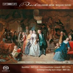 Download track Durchlauchtster Leopold, BWV 173a - 3. [Aria] (Basso). Leopolds Vortrefflichk... Johann Sebastian Bach