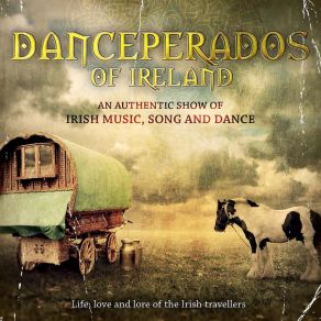 Download track Session By The Campfire (Reels) Danceperados Of IrelandThe Reels