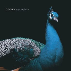 Download track Sleepwalking Follows