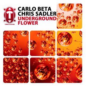 Download track Underground Flower (Pavel Bidlo Remix) Carlo Beta