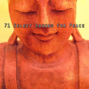 Download track Remedy For Emotional Pain Yoga Soul