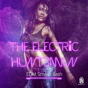 Download track Illusion Of Minds The Electric Huntsman