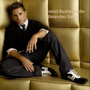 Download track Al Filo De La Irrealidad David Bustamante