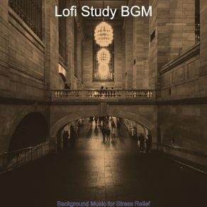 Download track Moods For Stress Relief - Lofi Beats Lofi Study BGM