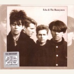 Download track Hole In The Holy Echo & The Bunnymen