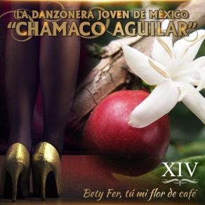 Download track Danza Mi Son Danzonera Joven De Mexico De Chamaco Aguilar