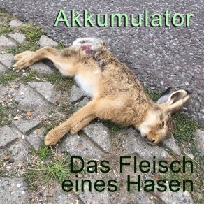 Download track Geigerzähler Akkumulator