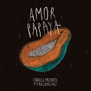 Download track Amor Papaya En Invierno Carlos Sadness