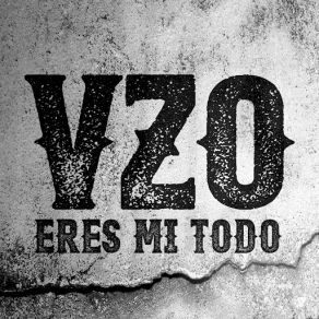 Download track Eres Mi Todo Vizzio