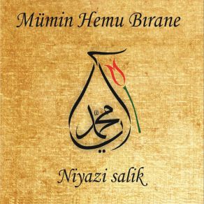 Download track Bırindarım Niyazi Salik