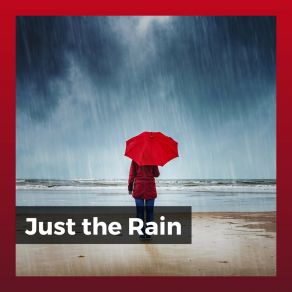 Download track I Love The Rain, Pt. 17 Rain Sounds