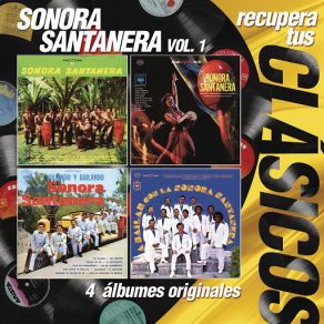 Download track Perdóname Vida Sonora Santanera