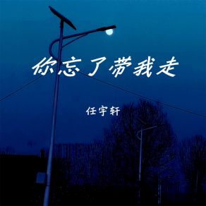 Download track 你忘了带我走 任宇轩