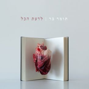 Download track חסר תכלית תומר בר