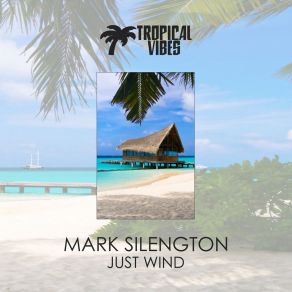 Download track Hot Spot (Original Mix) Mark Silengton