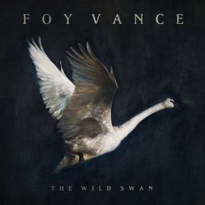 Download track The Wild Swans On The Lake Foy Vance