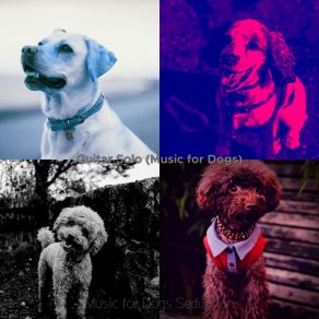 Download track Trio Jazz Soundtrack For Training Dogs Music For Dogs Seduction