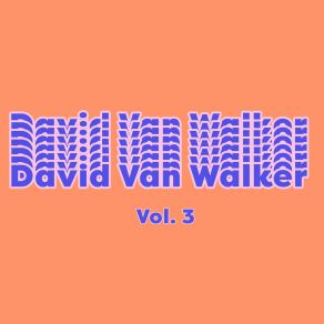 Download track Wonderment David Van Walker