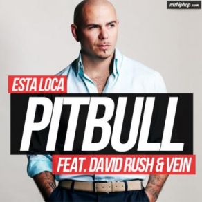 Download track Esta Loca Vein, David Rush, Pitbull