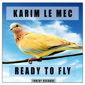 Download track Ready To Fly (Cut Version) Karim Le Mec