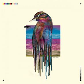 Download track Ice Bird 5K HD