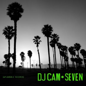 Download track A Loop DJ Cam