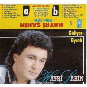 Download track Sende Sev Hayri Şahin