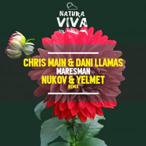 Download track Party Beer (Nukov And Yelmet Remix) Dani Llamas