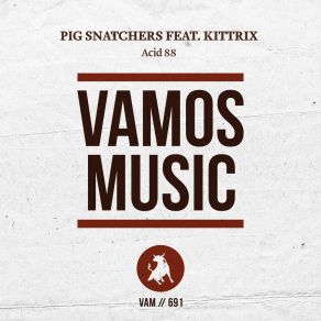 Download track Acid 88 (Instrumental Mix) Pig Snatchers