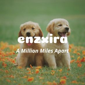 Download track A Million Miles Apart Enzxira