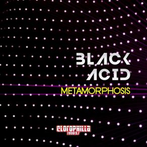 Download track Butterfly Black Acid