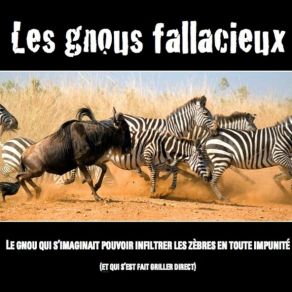 Download track Tapatam Les Gnous Fallacieux