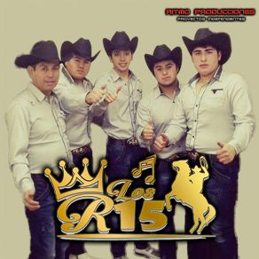 Download track Mix: Palito De Natre - El Palizal Grupo R-15