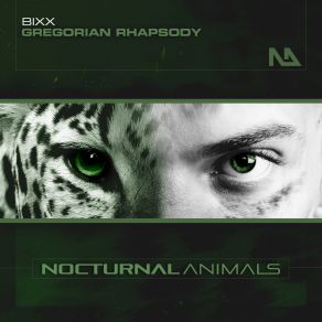 Download track Gregorian Rhapsody (Extended Mix) Bixx