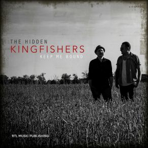 Download track Killing All The Bees The Hidden Kingfishers