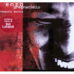 Download track Il Canto Del Folle Enzo Gragnaniello