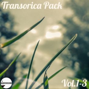 Download track Tiger (Original Mix) Moonlight