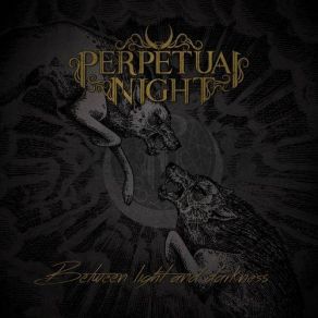 Download track Between Light And Darkness Perpetual Night