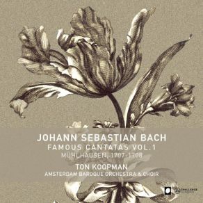 Download track Gott Ist Mein König BWV 71 Du Wollest Dem Feinde Nicht Geben (Chorus) Amsterdam Baroque Orchestra Ton Koopman