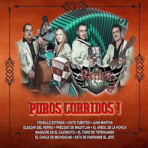 Download track Eliazar Del Fierro Los Reales Del Norte