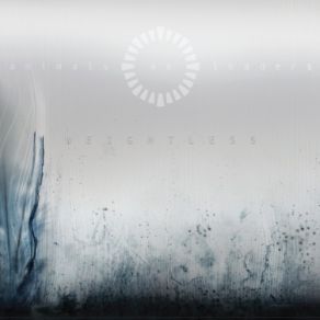 Download track To Lead You To An Overwhelming Question Animals As Leaders