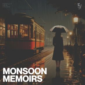 Download track Each Rain's Reflective Resonance Sounds Of Rain