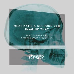 Download track Imagine That (Chicago Loop Remix) Meat Katie, Neurodriver