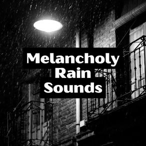 Download track Relaxing Rain Sounds 24H Rain Sounds