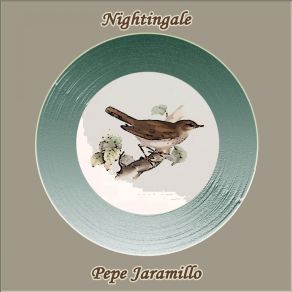 Download track Fly Me To The Moon Pepe Jaramillo