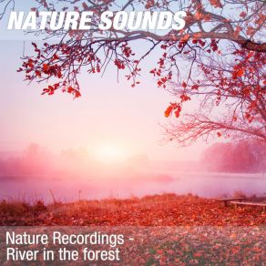 Download track Nature Sounds For Relaxation, Pilates & Shiatsu Massage (Peaceful Stream) 25 Nature Sounds