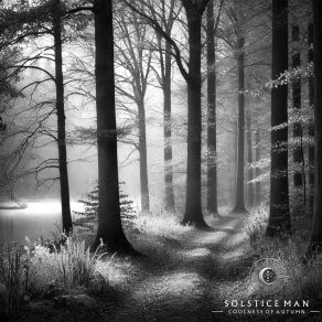 Download track The Warmth Of Forgetten Hugs Solstice Man