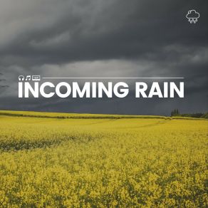 Download track Rain Productive Natsound