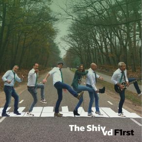 Download track Als De Liefde Niet Bestond The Shivvd